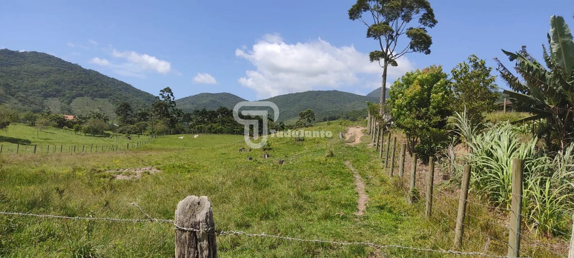 Terreno em Bom Retiro, Paulo Lopes