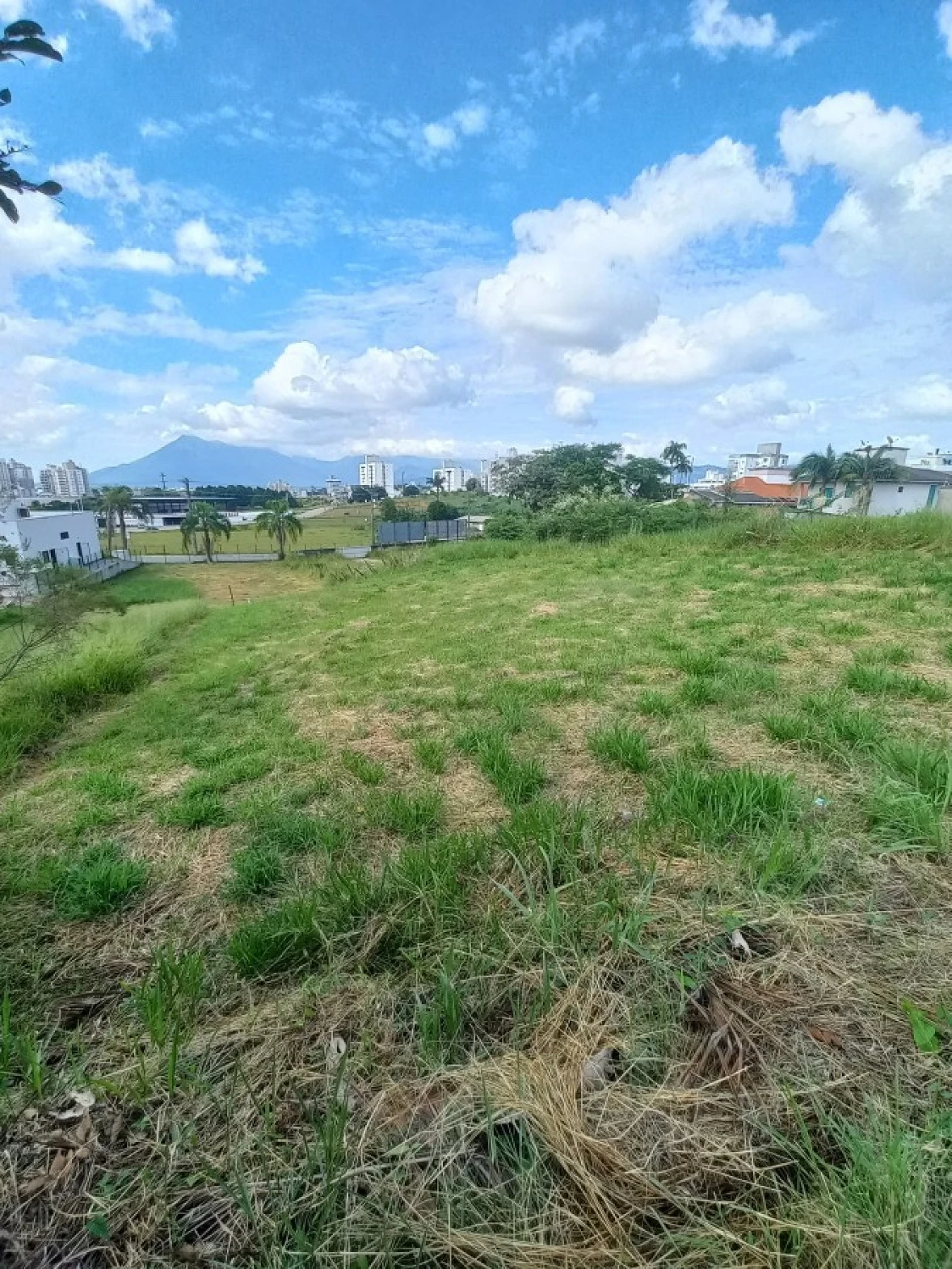 Terreno em Pedra Branca, Palhoça
