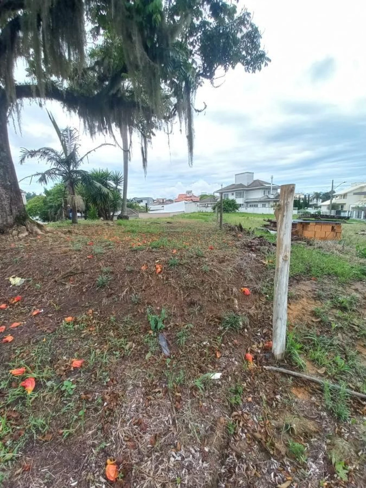 Terreno em Pedra Branca, Palhoça