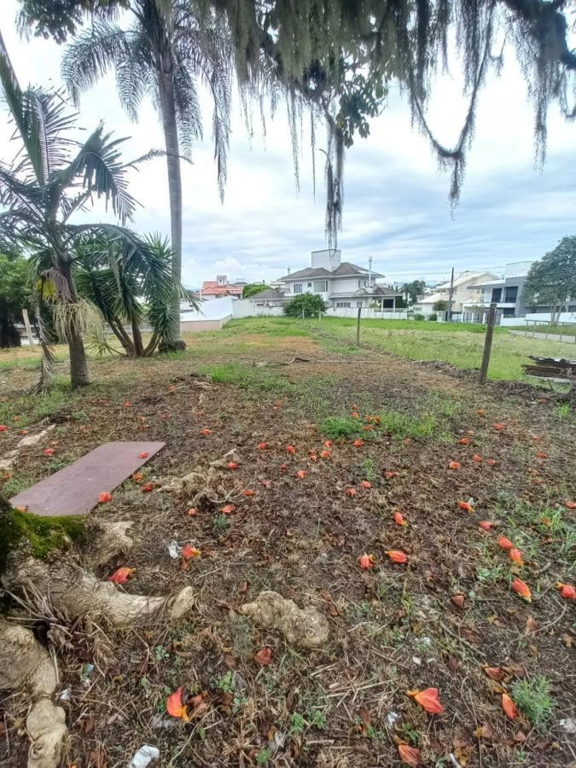 Terreno em Pedra Branca, Palhoça