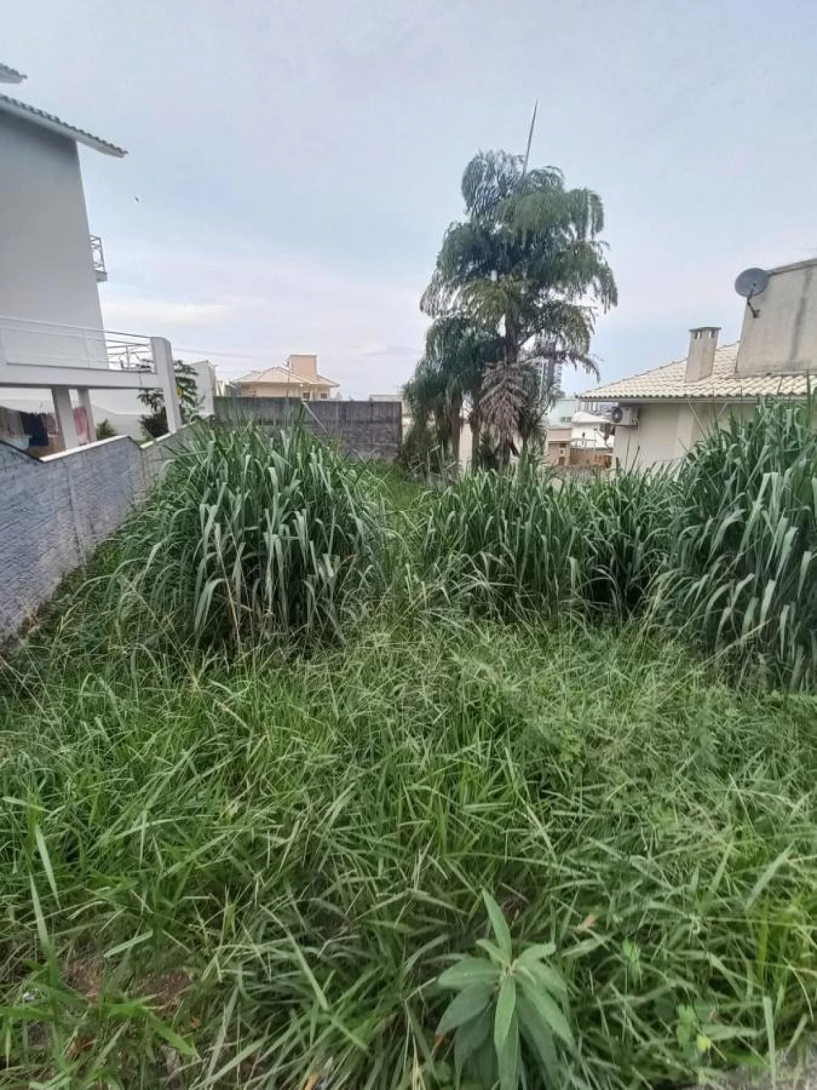 Terreno em Pedra Branca, Palhoça