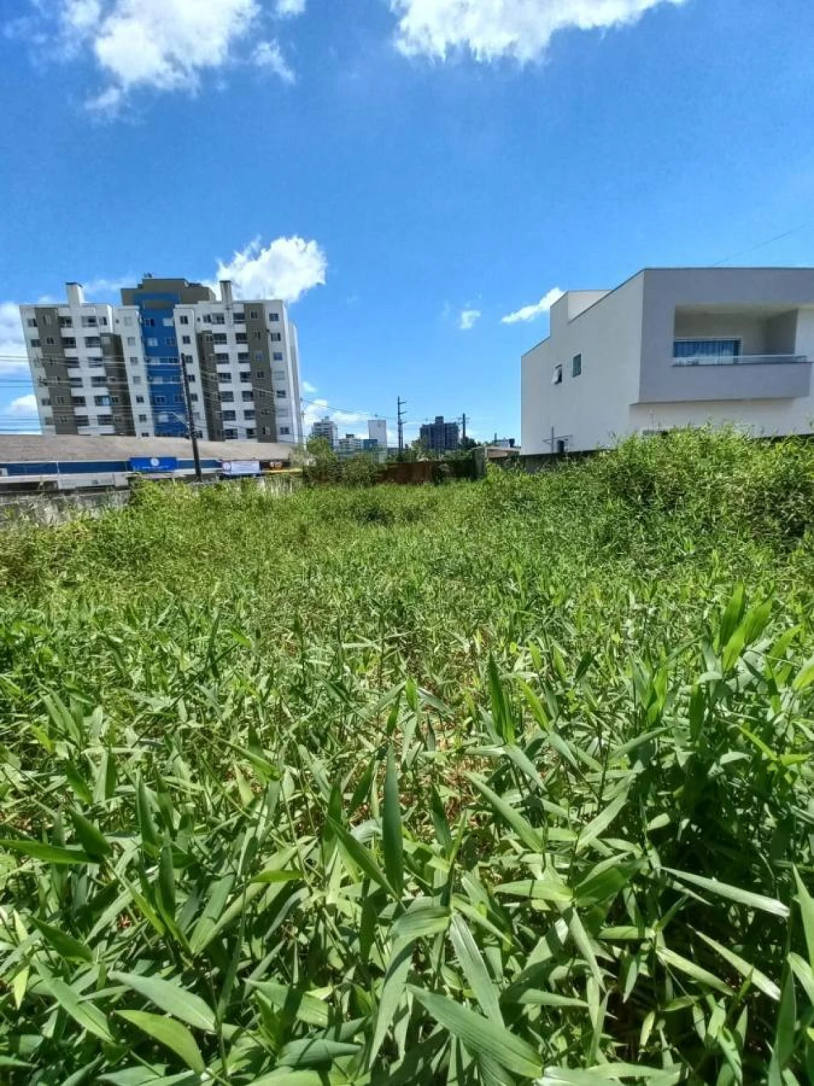Terreno em Pedra Branca, Palhoça