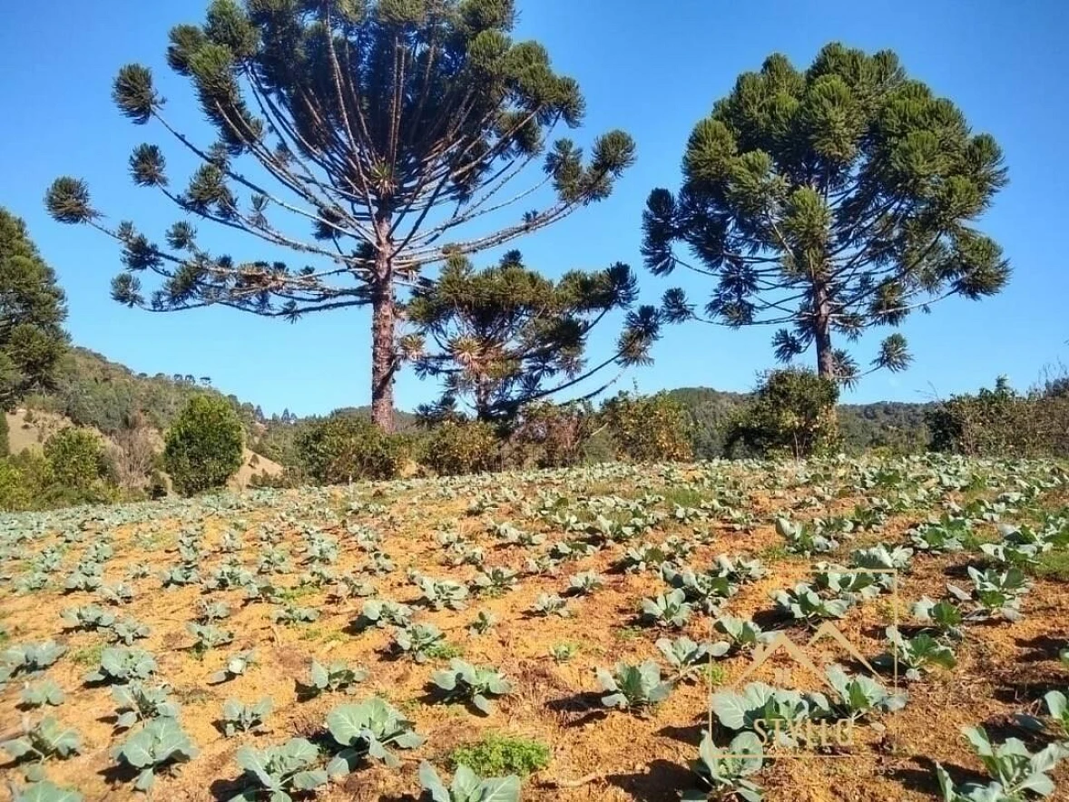 Sítio em Centro, Anitápolis