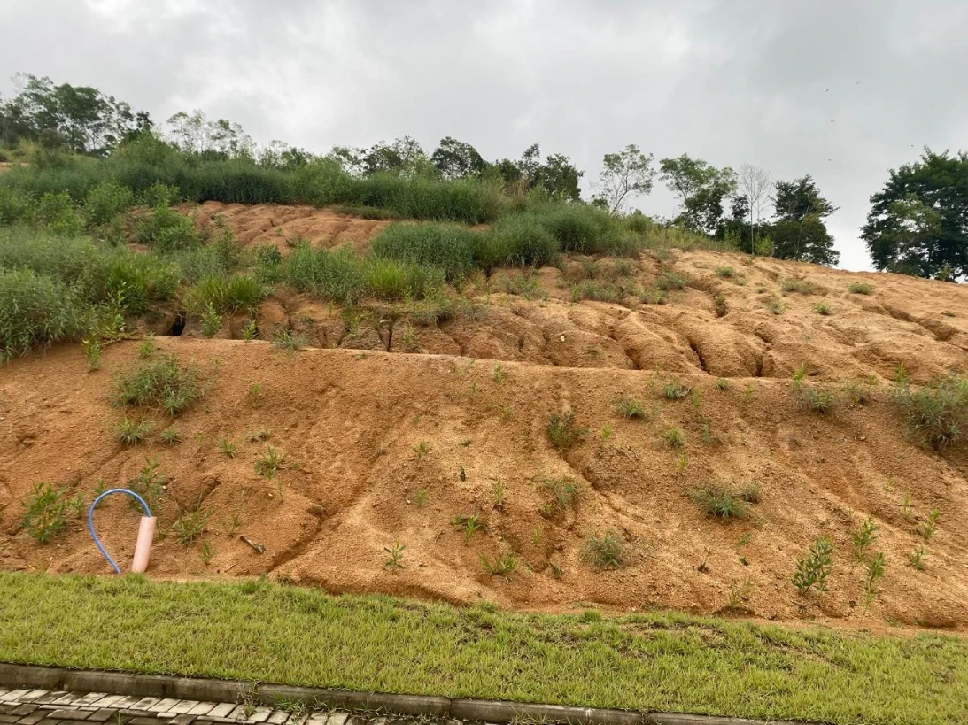 Terreno em Termas do Gravatal, Gravatal. 0 quartos, 0m². Imagem 3 de 17