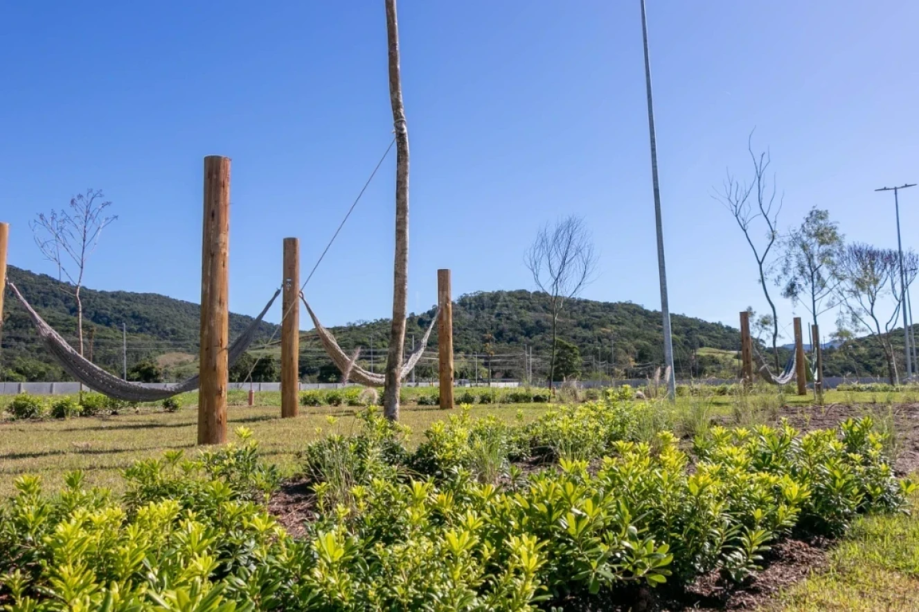Terreno em Pedra Branca, Palhoça. 0 quartos, 0m². Imagem 34 de 40