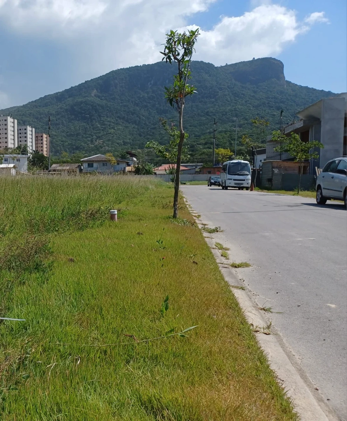 Terreno em Pedra Branca, Palhoça. 0 quartos, 0m². Imagem 6 de 40