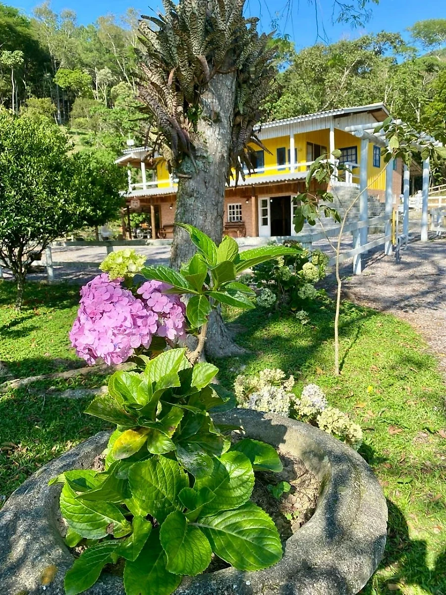Sítio em Massiambu, Palhoça. 0 quartos, 0m². Imagem 2 de 16