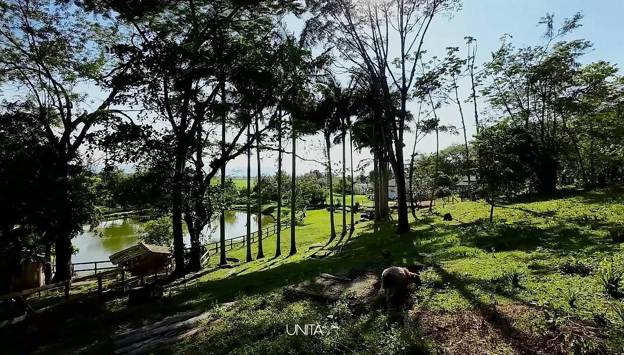 Sítio em Massiambu, Palhoça. 0 quartos, 0m². Imagem 10 de 16