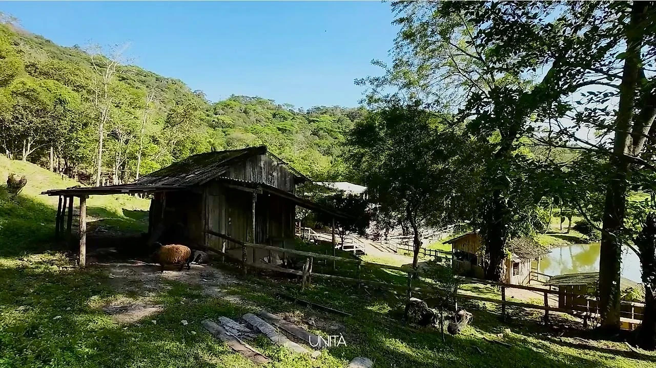 Sítio em Massiambu, Palhoça. 0 quartos, 0m². Imagem 12 de 16