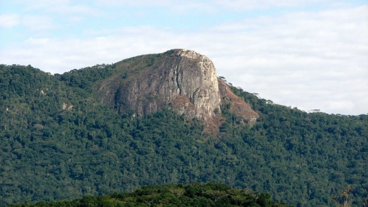 Terreno em Pedra Branca, Palhoça. 0 quartos, 0m². Imagem 8 de 8