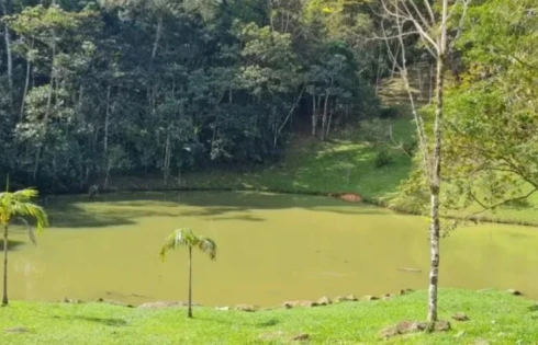 Terreno em Varginha, Santo Amaro da Imperatriz