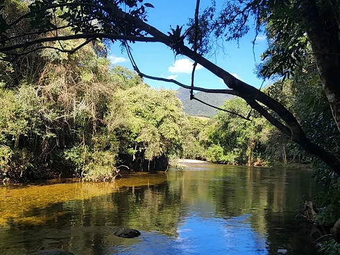 Sítio em Vargem do BraÇo, Santo Amaro da Imperatriz