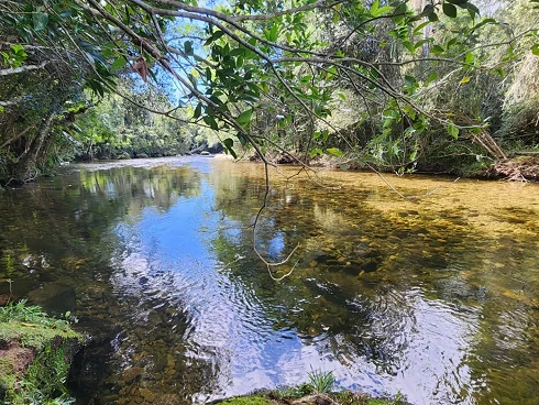 Sítio em Vargem do BraÇo, Santo Amaro da Imperatriz