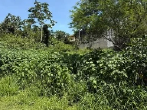 Terreno em Roçado, São José