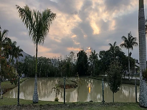 Terreno em Sul do Rio, Santo Amaro da Imperatriz - Foto 1