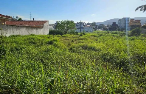 Pagani, Palhoça