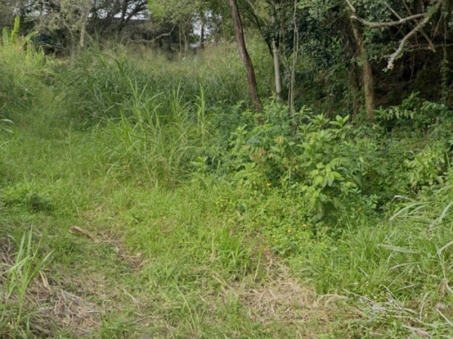 Terreno em Pantanal, Florianópolis. 0 quartos, 0m². Imagem 1 de 7
