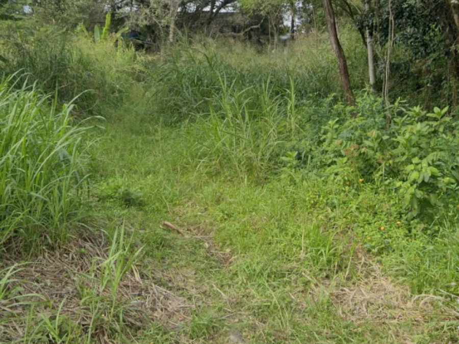 Terreno em Pantanal, Florianópolis. 0 quartos, 0m². Imagem 3 de 7