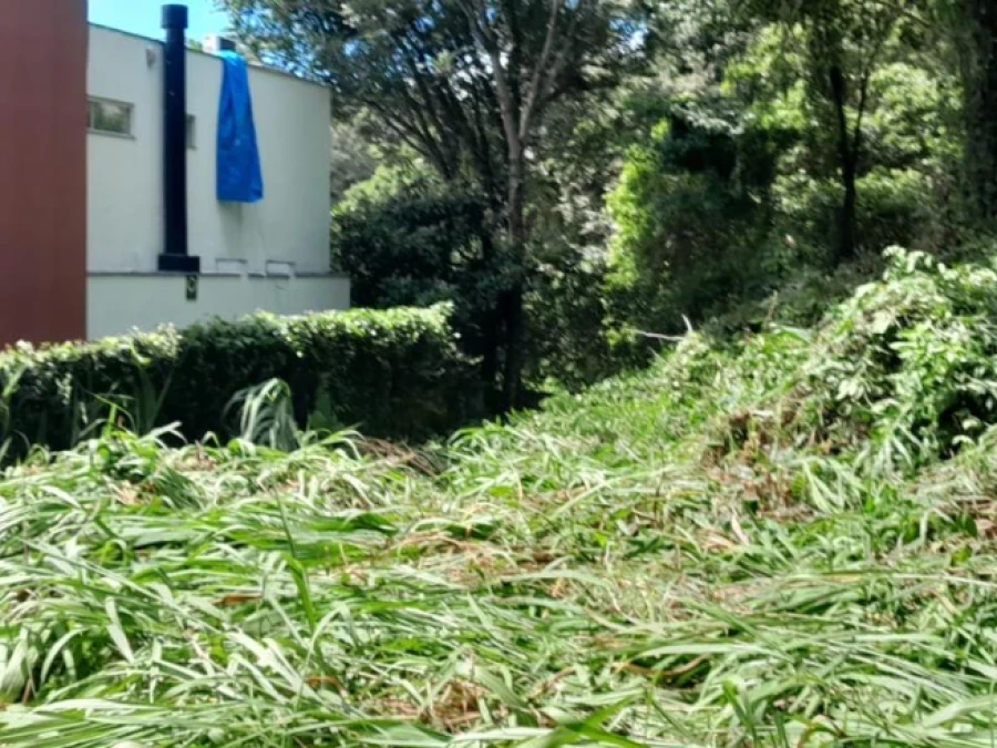 Terreno em Pantanal, Florianópolis. 0 quartos, 0m². Imagem 5 de 7