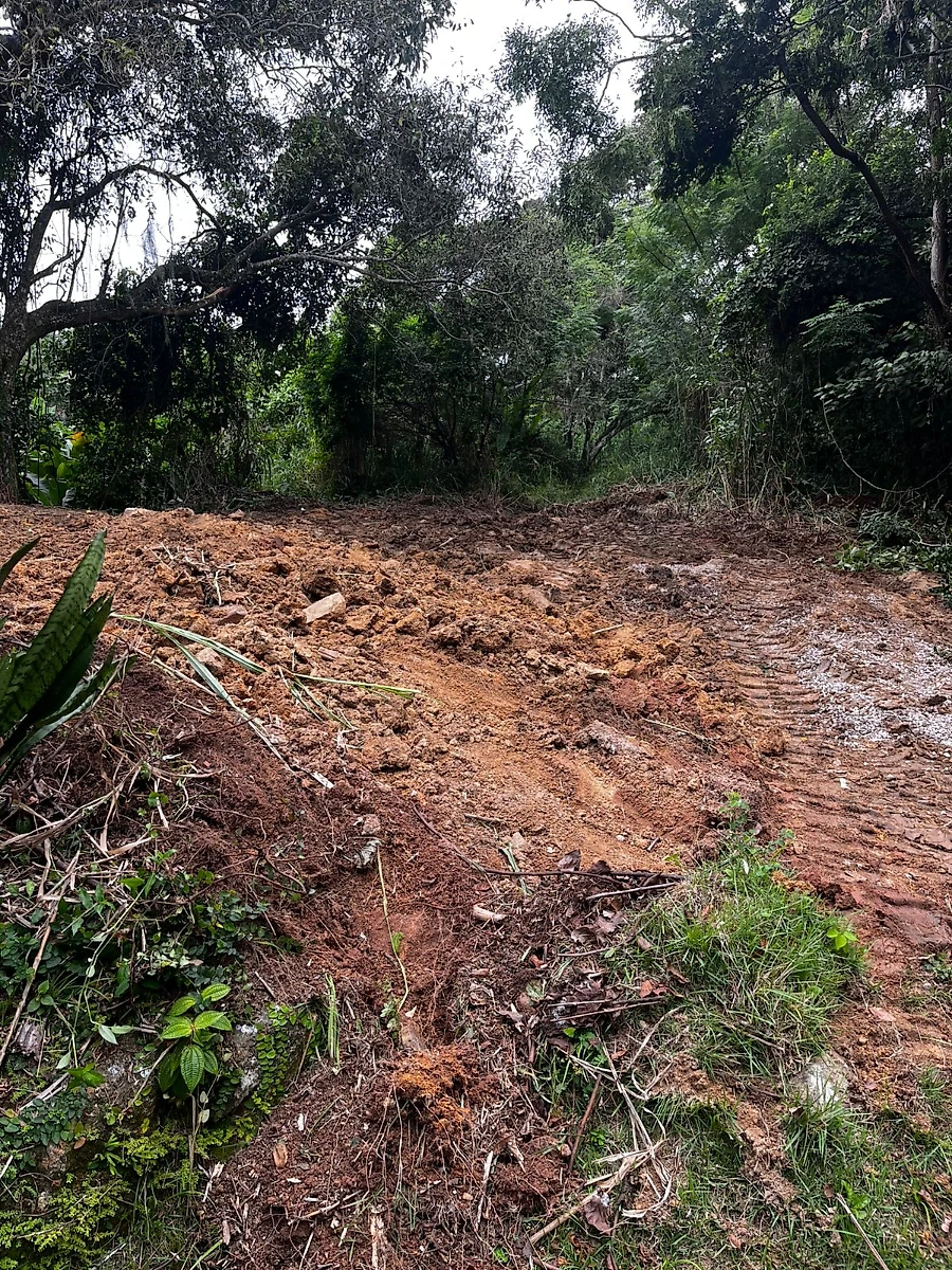 Terreno em Pantanal, Florianópolis. 0 quartos, 0m². Imagem 7 de 7
