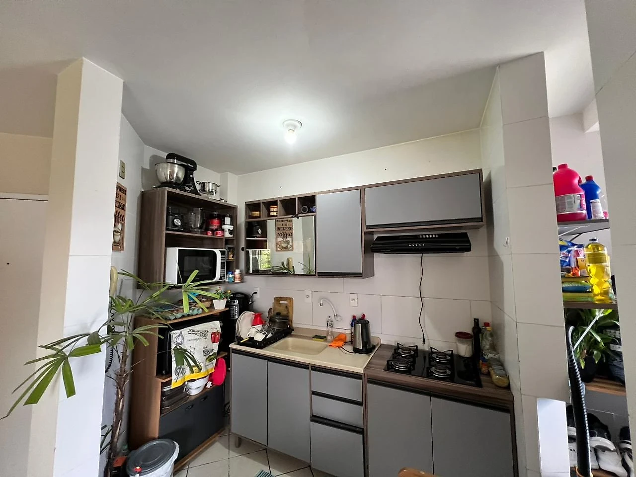 Apartamento em Aririú, Palhoça. 2 quartos, 49m². Imagem 2 de 7