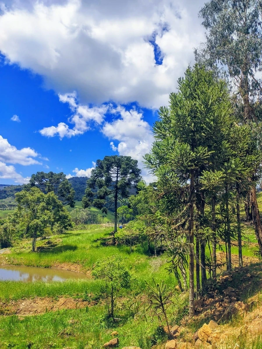 Sítio em Taquaras, Rancho Queimado. 2 quartos, 0m². Imagem 13 de 25