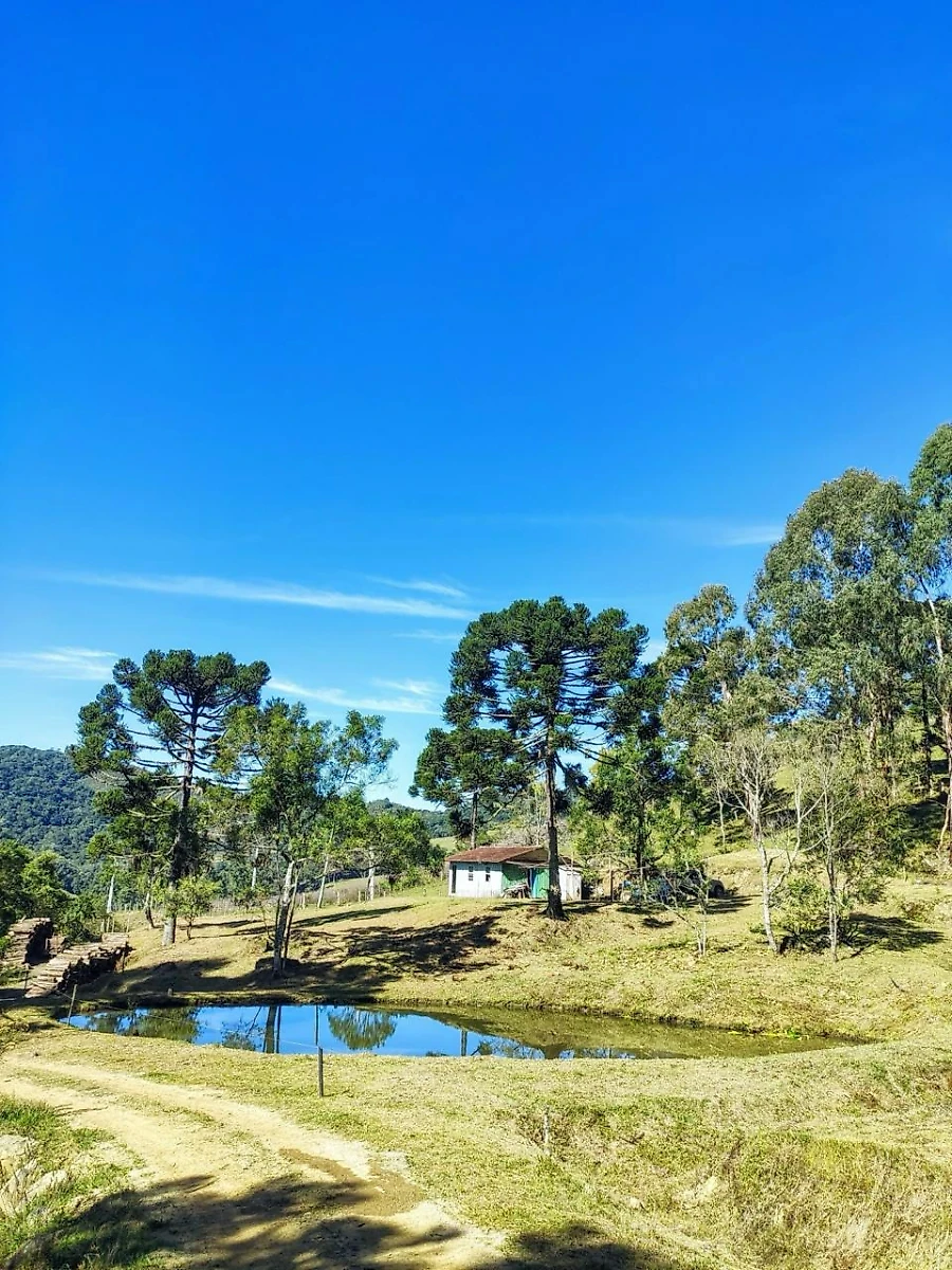 Sítio em Taquaras, Rancho Queimado. 2 quartos, 0m². Imagem 17 de 25