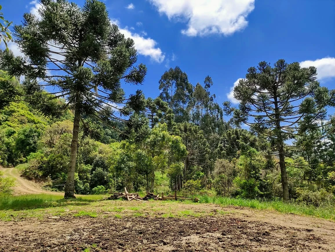 Sítio em Taquaras, Rancho Queimado. 2 quartos, 0m². Imagem 2 de 25