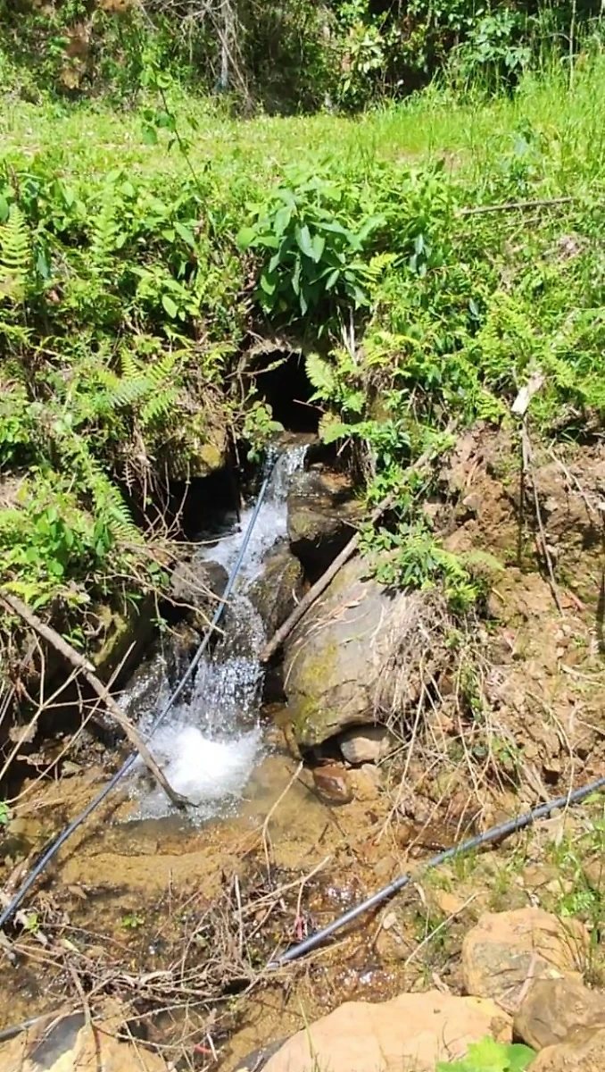 Sítio em Taquaras, Rancho Queimado. 2 quartos, 0m². Imagem 9 de 25