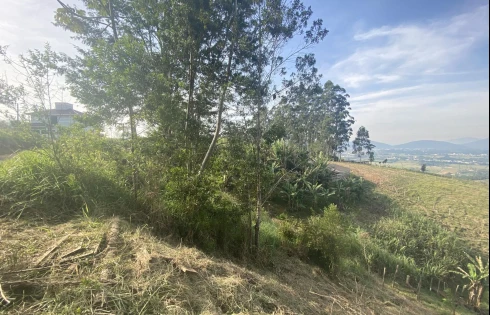 Terreno em Centro, Santo Amaro da Imperatriz