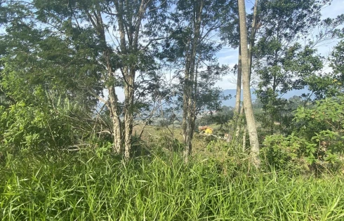 Terreno em Centro, Santo Amaro da Imperatriz