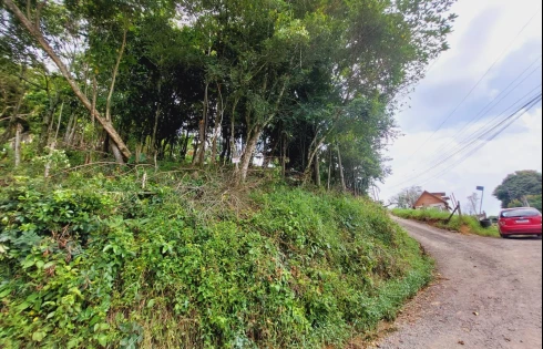 Terreno em Alto Aririú, Palhoça