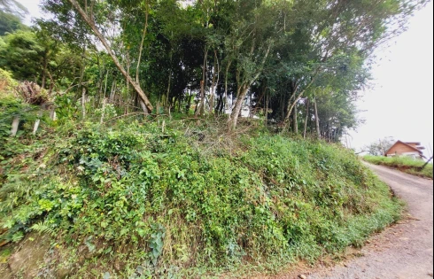Terreno em Alto Aririú, Palhoça