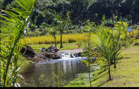 Casa em Área Rural de Tijucas, Tijucas