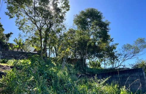 Terreno em Bela Vista, Palhoça