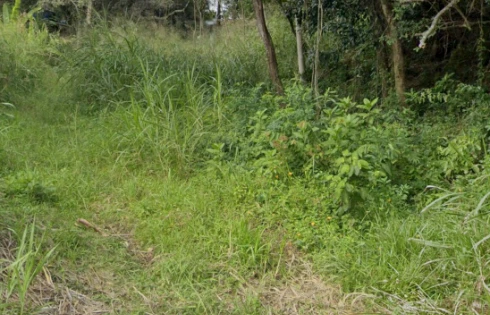Terreno com 0 quartos em Pantanal, Florianópolis