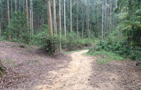 Sítio em Rural, São Bonifácio