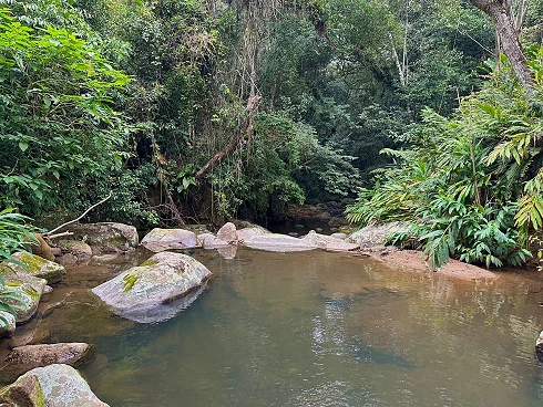 Terreno em Forquilhas, São José