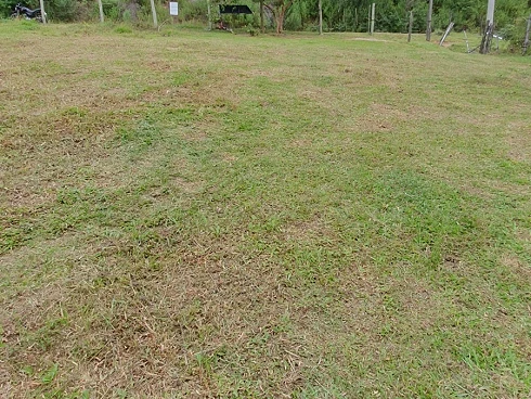 Terreno em Forquilhas, São José