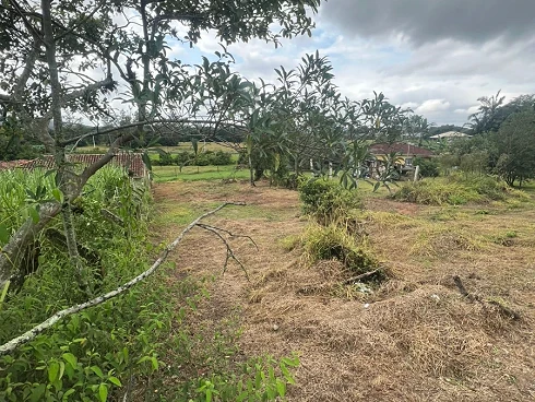 Terreno em Forquilhas, São José