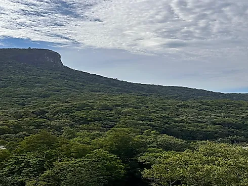 Apartamento em Pedra Branca, Palhoça