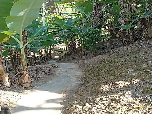Casa em Forquilhas, São José