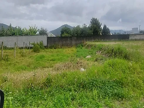 Terreno com 0 quartos em Guarda do Cubatão, Palhoça