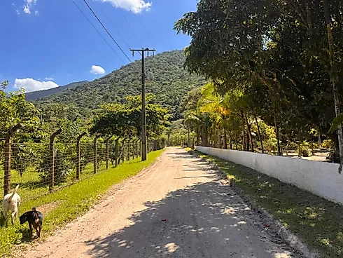 Sítio de 4.500M² com Casa e com Nascente de Água em Palhoça - Foto 16