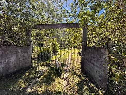 Sítio em Passagem do Massiambú, Palhoça