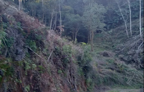 Sítio em Zona Rural, Anitápolis