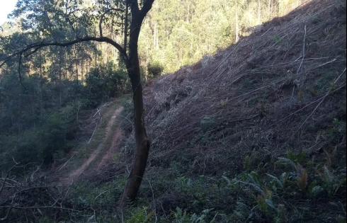 Sítio em Zona Rural, Anitápolis