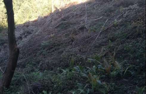 Sítio em Zona Rural, Anitápolis
