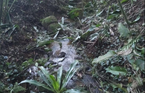 Sítio em Zona Rural, Anitápolis