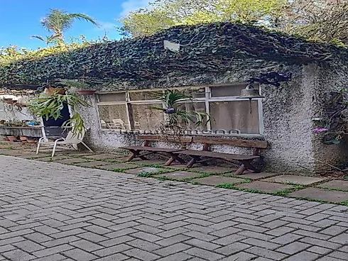 Casa 3 Quartos com 1 Suíte e 336m² - Butantã - Casa em Butantã, São Paulo - Foto 3